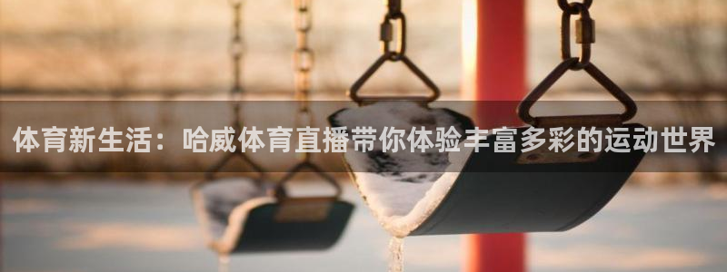 体育新生活：哈威体育直播带你体验丰富多彩的运动世界