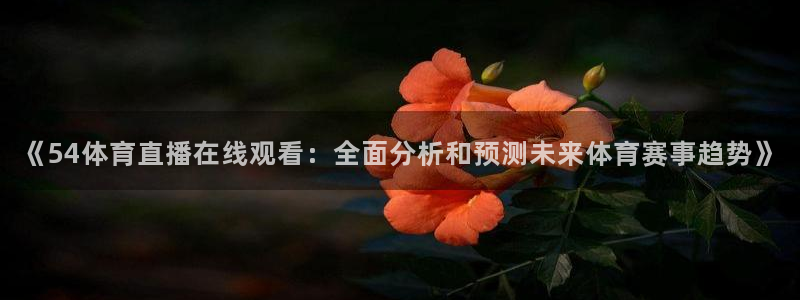 《54体育直播在线观看：全面分析和预测未来体育赛事趋势》