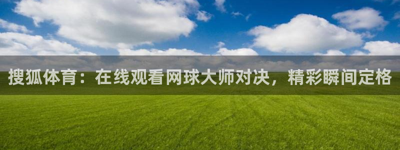 搜狐体育：在线观看网球大师对决，精彩瞬间定格