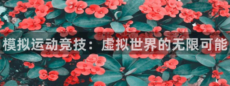 模拟运动竞技：虚拟世界的无限可能