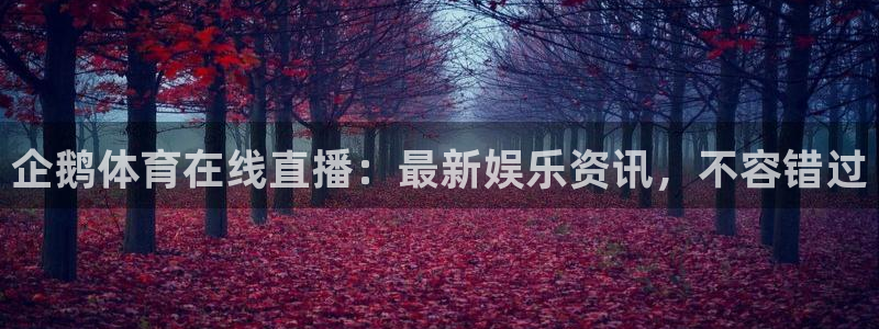 新闻图片